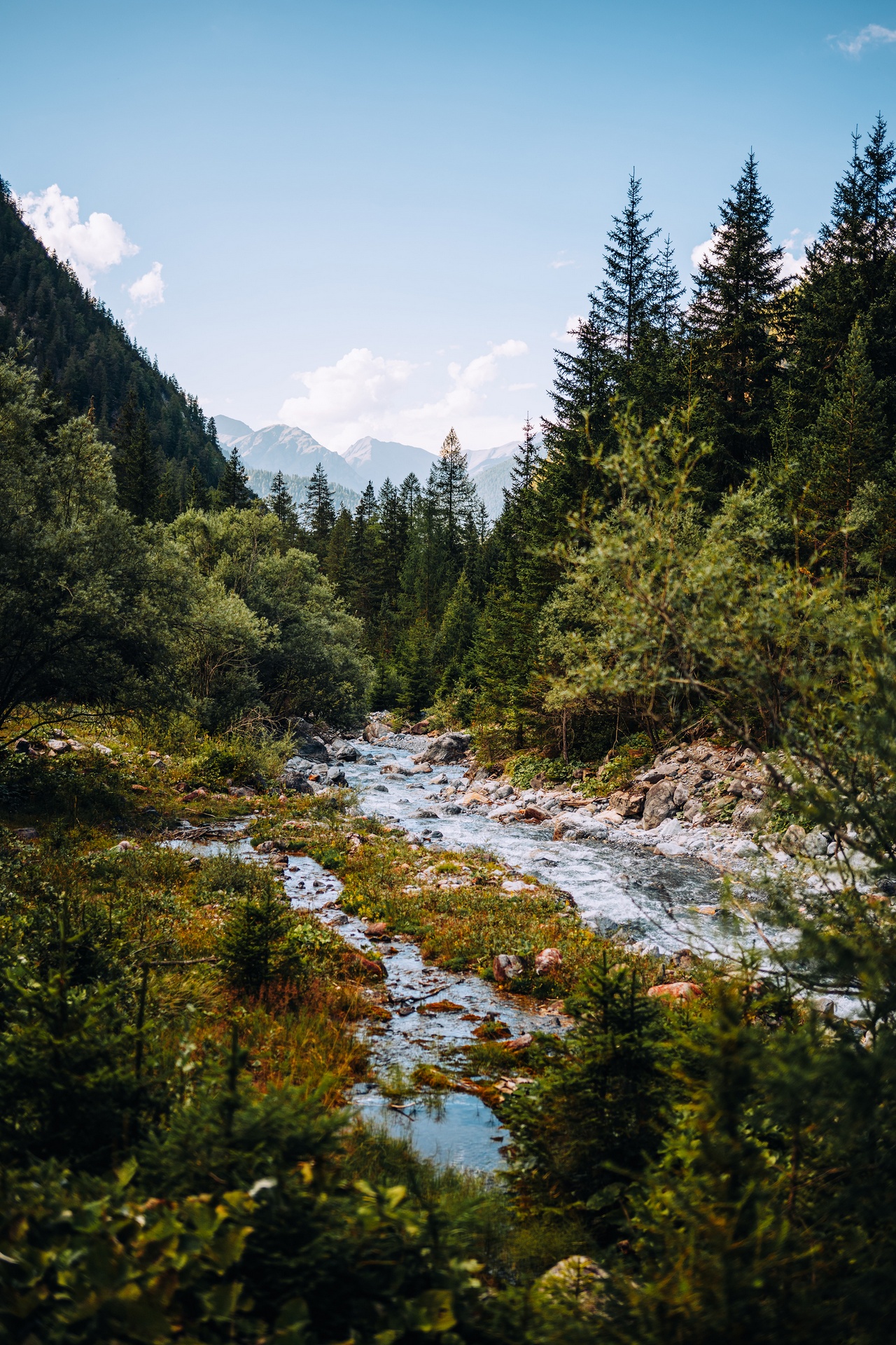 Landschaft in Kärnten